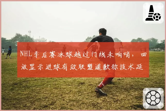 NHL季后赛冰球越过门线未响哨，回放显示进球有效联盟道歉称技术延迟
