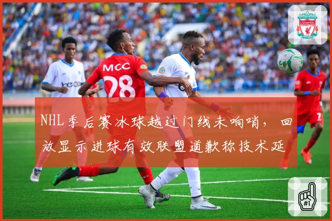 NHL季后赛冰球越过门线未响哨，回放显示进球有效联盟道歉称技术延迟