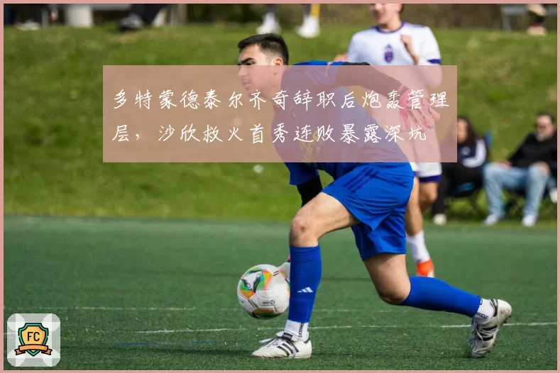 多特蒙德泰尔齐奇辞职后炮轰管理层,沙欣救火首秀连败暴露深坑